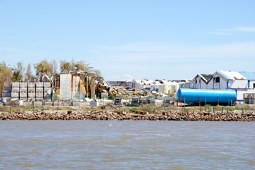 Fish cannery at Puerto Lopez Mateos.