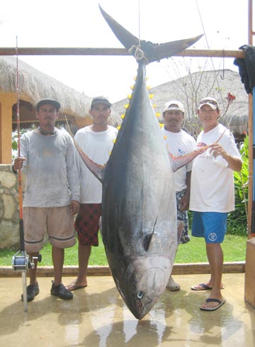 357-pound yellowfin tuna caught at San Jose del Cabo.