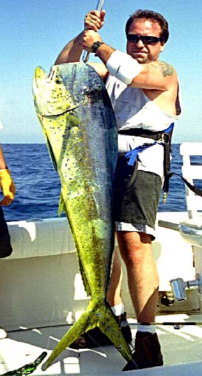 Mexico Sportfishing Photo 3