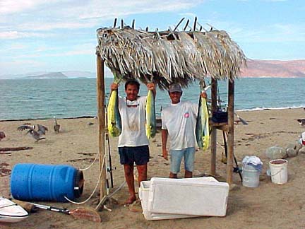 Mexico Sportfishing Photo 1