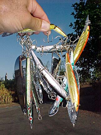 Mexico Fishing Photo 1