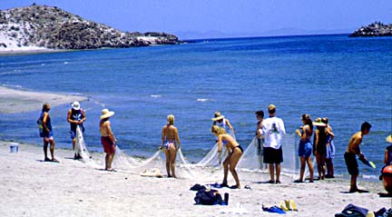 Students on beach at Bahia de los Animas, south of Bahia de los Angeles, Baja California, Mexico.