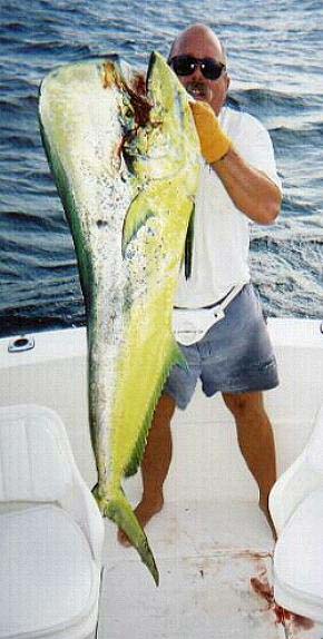 Photo of Jim Dillon with record dorado, Cabo San Lucas, Baja California Sur, Mexico.