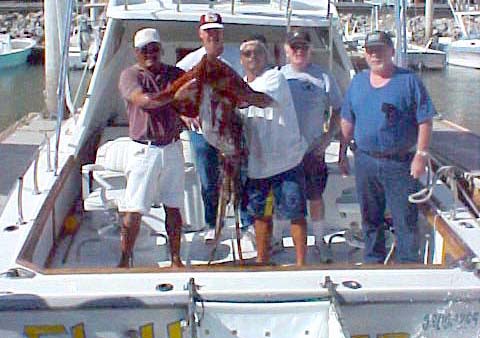 Photo of Humboldt squid caught in Baja California, Mexico.