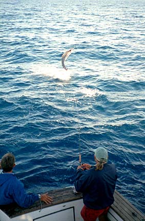 Magdalena Bay, Baja Fly Fishing Photo 3