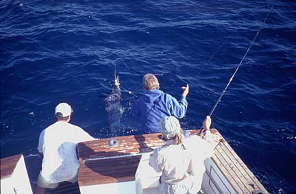 Magdalena Bay, Baja Fly Fishing Photo 11