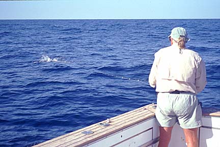 Magdalena Bay, Baja Fly Fishing Photo 20