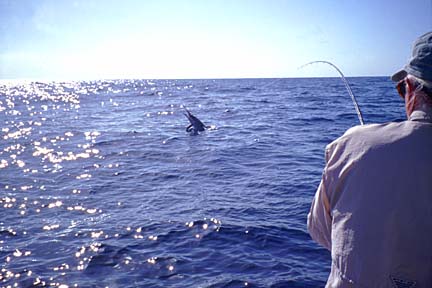 Magdalena Bay, Baja Fly Fishing Photo 21