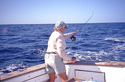 Magdalena Bay, Baja Fly Fishing Photo 19