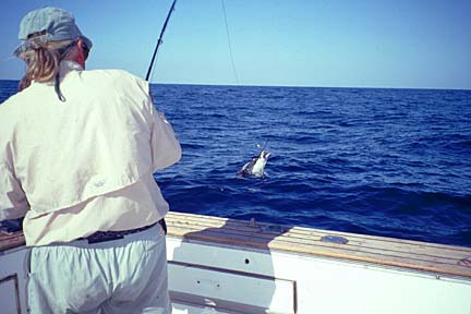 Magdalena Bay, Baja Fly Fishing Photo 9