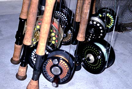 Magdalena Bay, Baja Fly Fishing Photo 7
