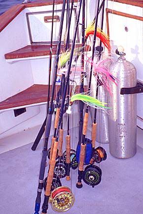  Magdalena Bay, Baja Fly Fishing Photo 8
