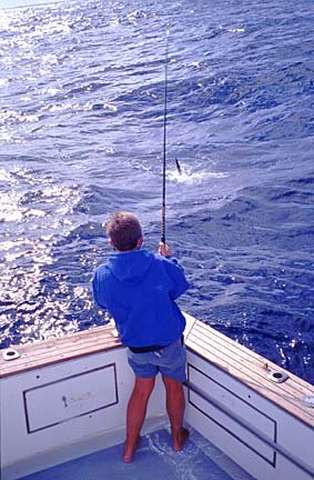 Magdalena Bay, Baja Fly Fishing Photo 15