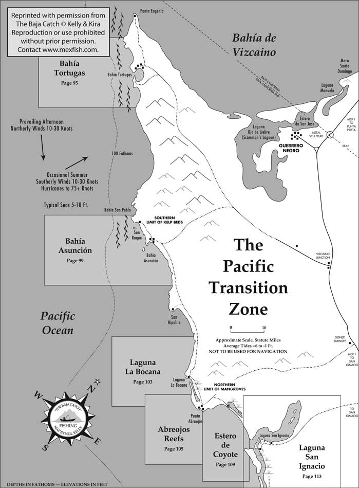 Baja Pacific Transition Zone Fishing Map