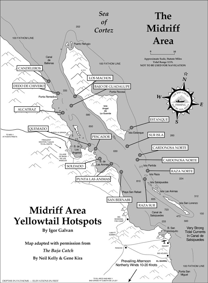 Map of Sea of Cortez yellowtail fishing hotspots.