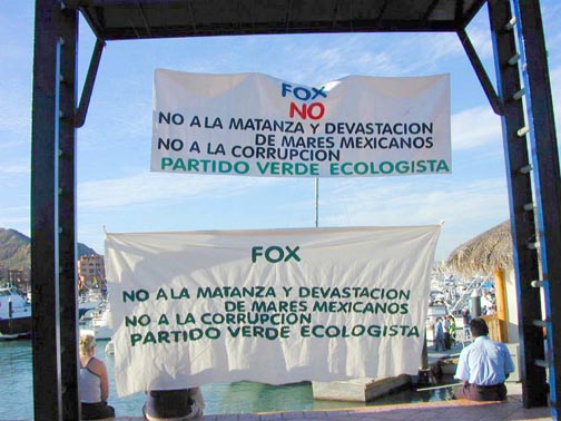 Photo of protest signs at Cabo San Lucas, Mexico.