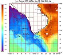 Water Temperatures at Cabo San Lucas.
