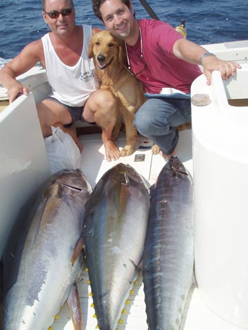 Wahoo and tuna catches at Cabo San Lucas, Mexico.