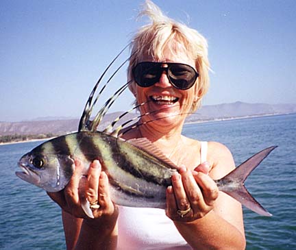 Roosterfish caught at East Cape, Mexico.