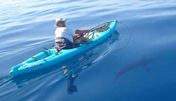 East Cape Kayak Fishing Photo 2