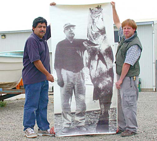 Photo of totoaba poster, Ensenada, Mexico.