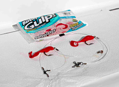 Berkley Gulp Bait Mexico Fishing Photo 1