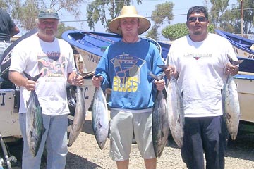 Mexico Bonito Fishing Photo