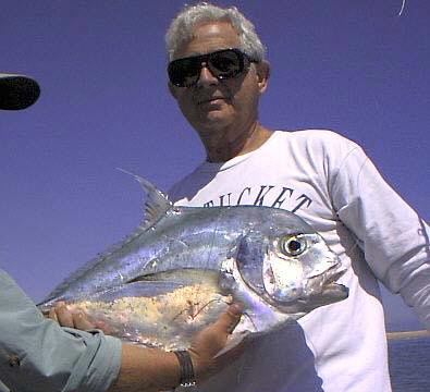 African Pompano fish picture 5