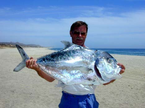 African Pompano fish picture 3