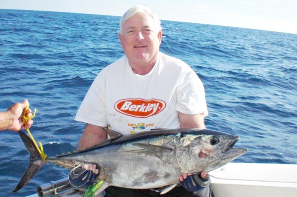 Bigeye Tuna fish picture