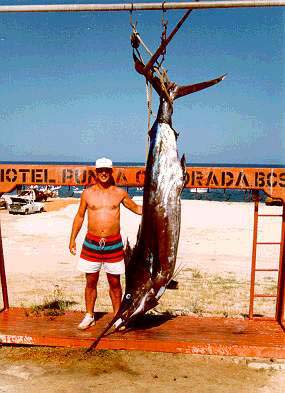 Blue Marlin picture