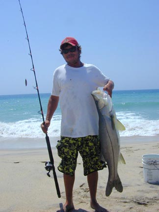 Black Snook fish picture 6