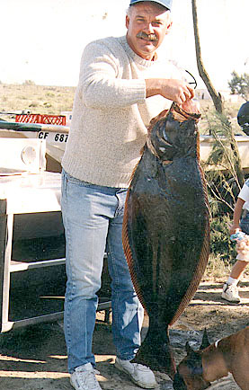 California Halibut fish picture 2