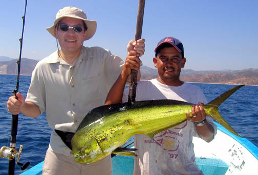 Dorado or Mahi-Mahi fish picture 5