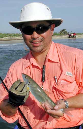Eastern Pacific Bonefish picture 2