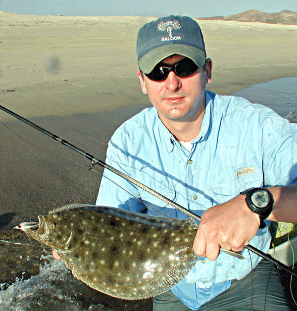 Gulf Sand Dab Fish fish picture 3