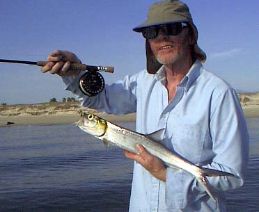 Ladyfish Photo 2