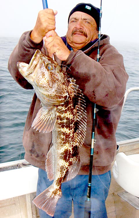 Lingcod fish picture 1