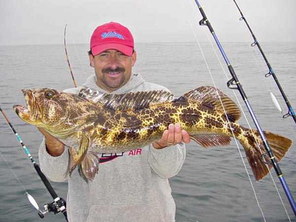 Gato of San Quintin Mexico with a lingcod caught while fishing at the Gato of San Quintin Mexico with a lingcod caught while fishing at the