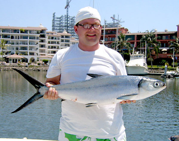 Milkfish picture 3