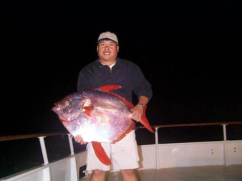 Opah fish picture