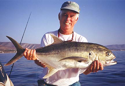 Pacific Jack Crevalle fish picture 6