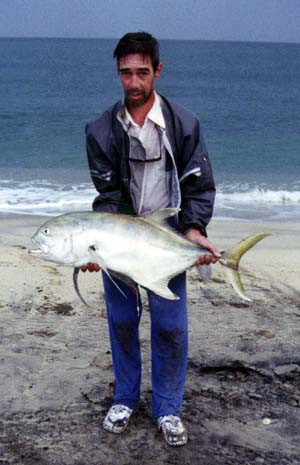 Pacific Jack Crevalle fish picture 4