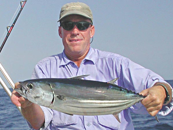 Skipjack Tuna Photo 3