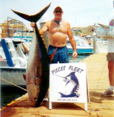 Yellowfin tuna Photo 2