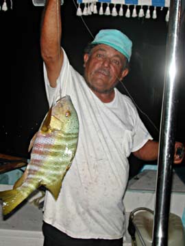 Loreto Fishing Photo