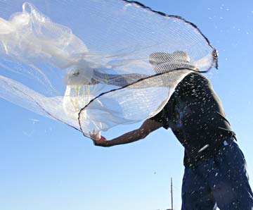 Magdalena Bay Shrimp Bait Photo 1