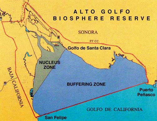 Map of Mexico's Alto Golfo Biosphere Reserve at the north of the Sea of Cortez.
