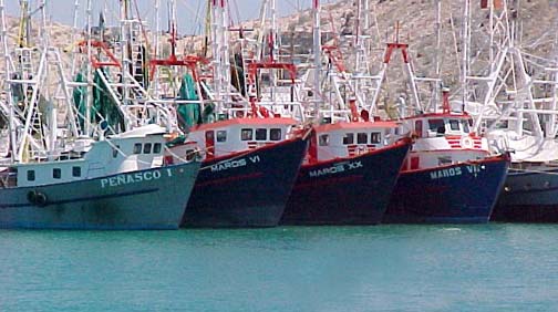 Photo of commercial fishing boats at Puerto Pe&ntilde;asco, Mexico.