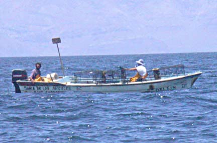 Photo, Fish Traps, Bahia de los Angeles, Baja California, Mexico.
